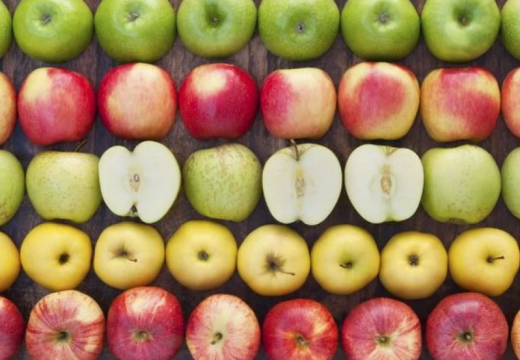 Чи впливають гени на характер: чому в одній родині різні діти?