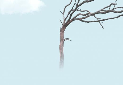 Сила маленьких кроків: Як невеликі зміни ведуть до великих досягнень?