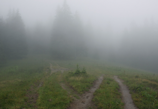 Твоє минуле не дорівнює твоє майбутнє: Як змінити шлях від помилок до нових можливостей