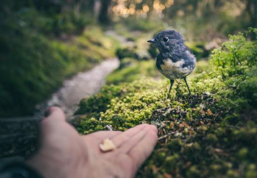 Як навчитися говорити про свої потреби?